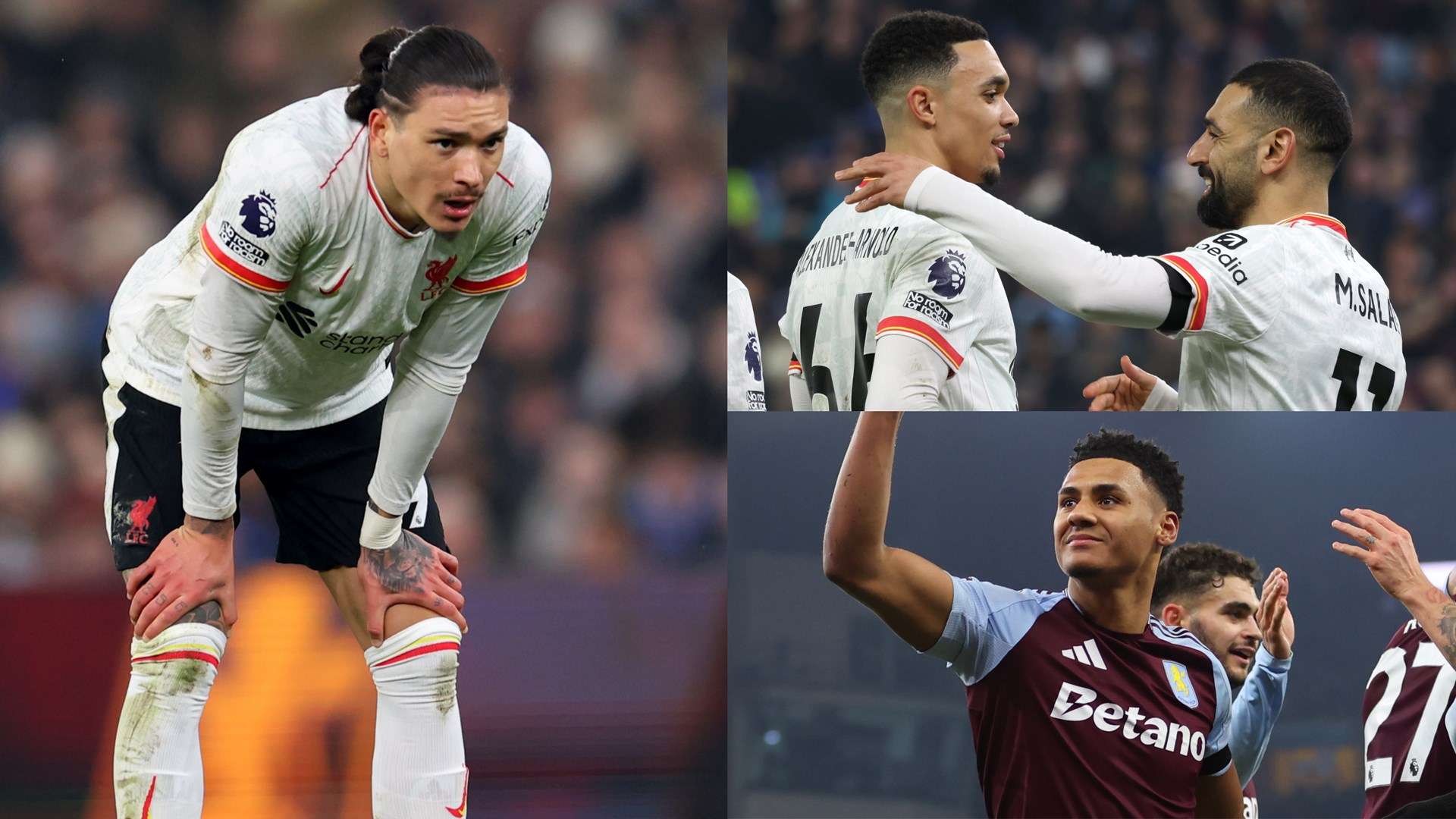 许多年轻球 许多年轻球