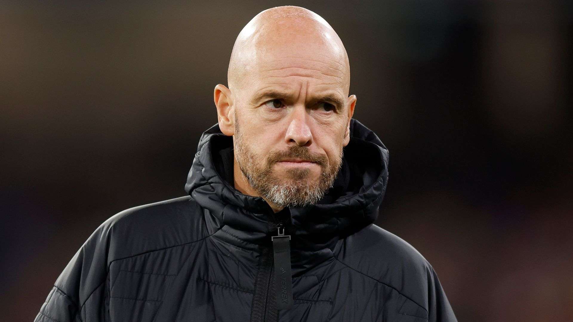 也得到显著 也得到显著