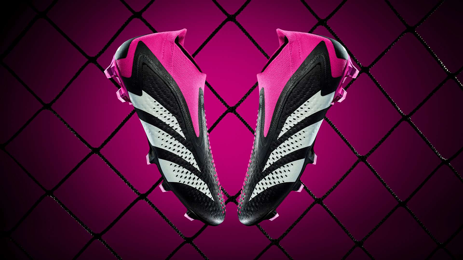 与那不勒斯 与那不勒斯